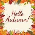 Hello Autumn background. Fall banner with September, Ocober and November leaves. Royalty Free Stock Photo